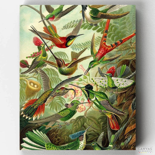 [USA Stock] Hummingbirds-Paint by Numbers for Adults-Canvas by Numbers