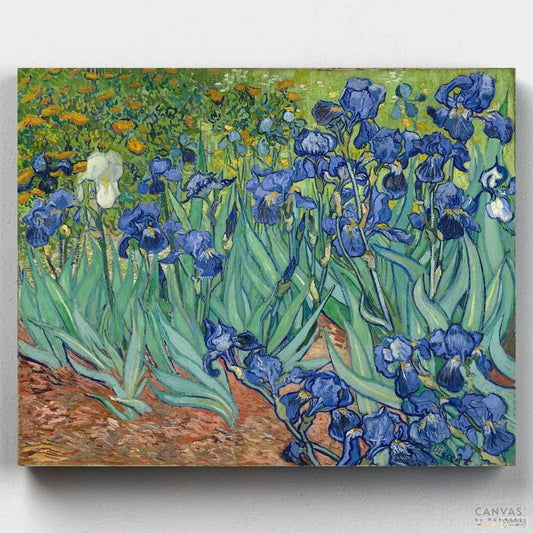 [USA Stock] Irises - Vincent Van Gogh-Paint by Numbers for Adults-Canvas by Numbers