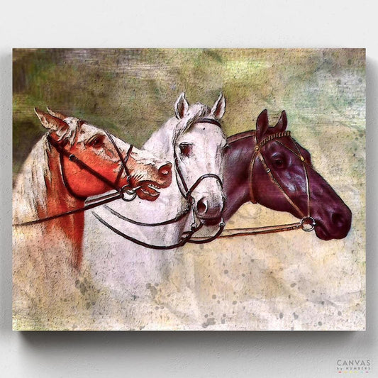 Three Horses-Paint by Numbers for Adults-Canvas by Numbers