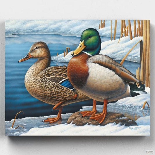 Winter Visitors-Paint by Numbers for Adults-Canvas by Numbers