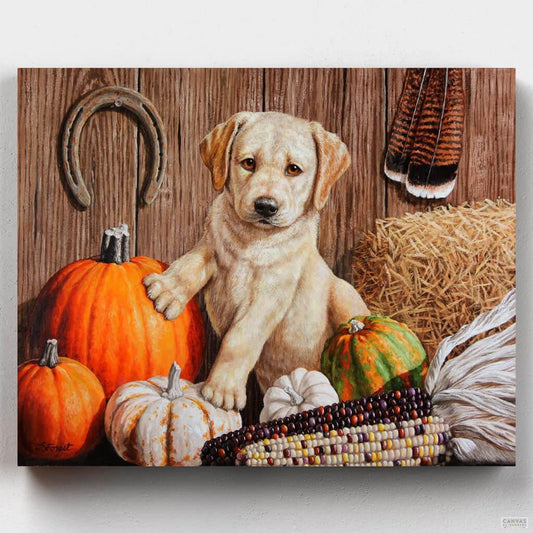 Pumpkin Harvest Puppy-Paint by Numbers for Adults-Canvas by Numbers