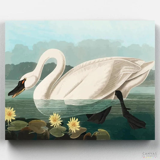 Common American Swan-Paint by Numbers for Adults-Canvas by Numbers