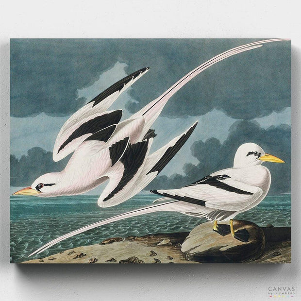 Tropic Bird-Paint by Numbers for Adults-Canvas by Numbers