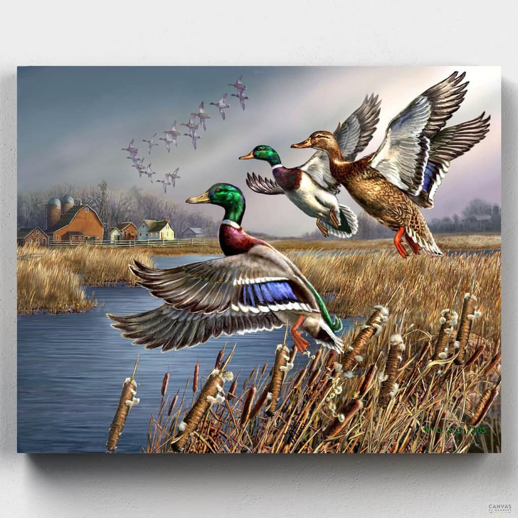 [USA Stock] - Outback Mallards - James Meger | Paint by Numbers | Canvas by Numbers