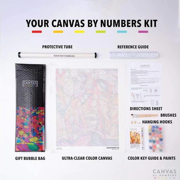 The parts included in the canvas by numbers kit