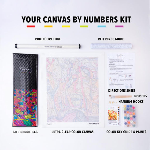 [USA Stock] Surprise Paint by Numbers Kit-Paint by Numbers for Adults-Canvas by Numbers