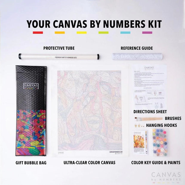 [USA Stock] Spring Flowers-Paint by Numbers for Adults-Canvas by Numbers