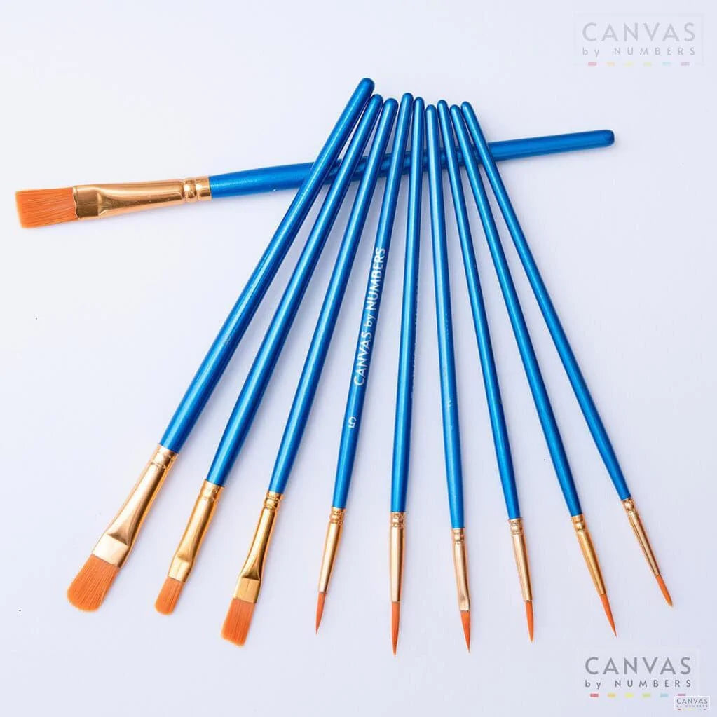 Extra 10 Pcs High Quality Paint Brushes-Paint by Numbers for Adults-Canvas by Numbers